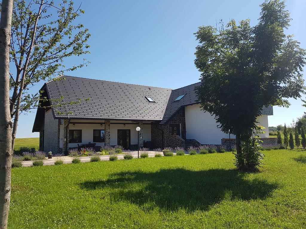 Villa Stone Раковица Екстер'єр фото