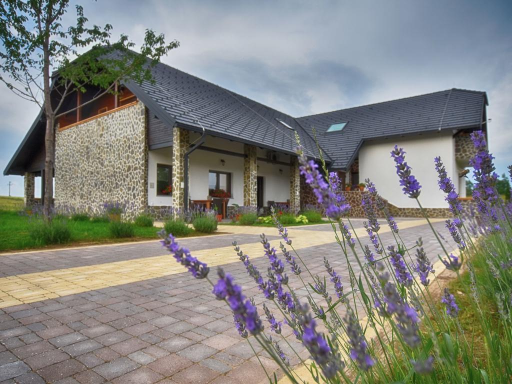 Villa Stone Раковица Екстер'єр фото