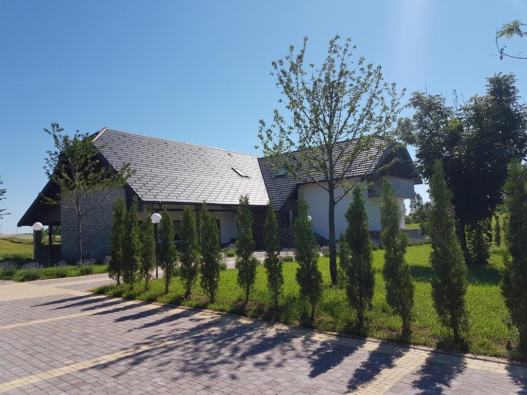 Villa Stone Раковица Екстер'єр фото