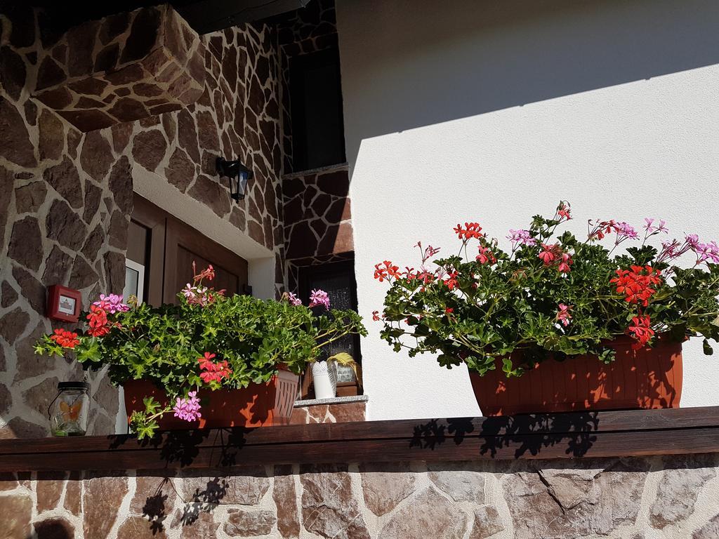 Villa Stone Раковица Екстер'єр фото