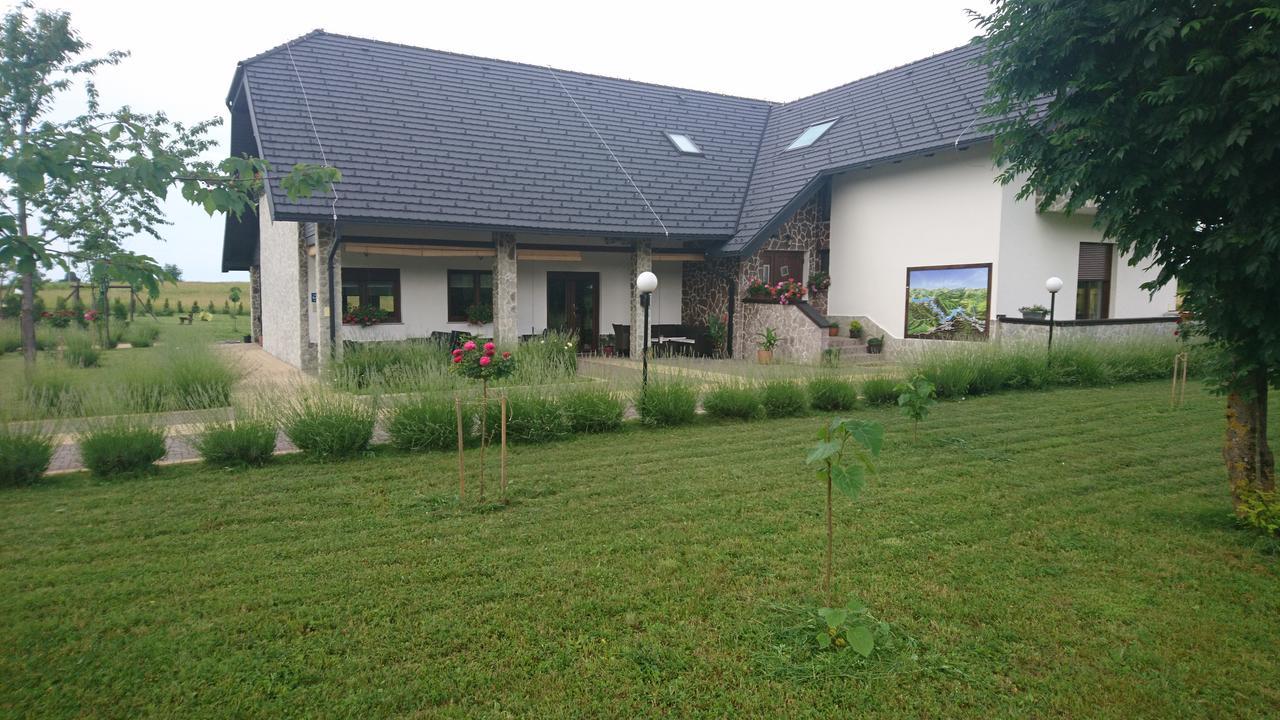 Villa Stone Раковица Екстер'єр фото