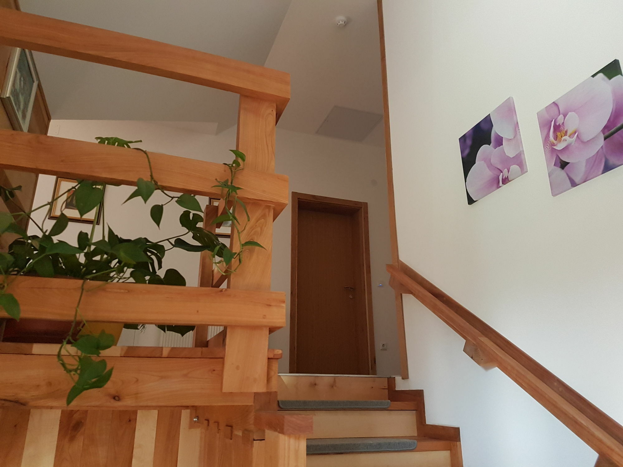 Villa Stone Раковица Екстер'єр фото