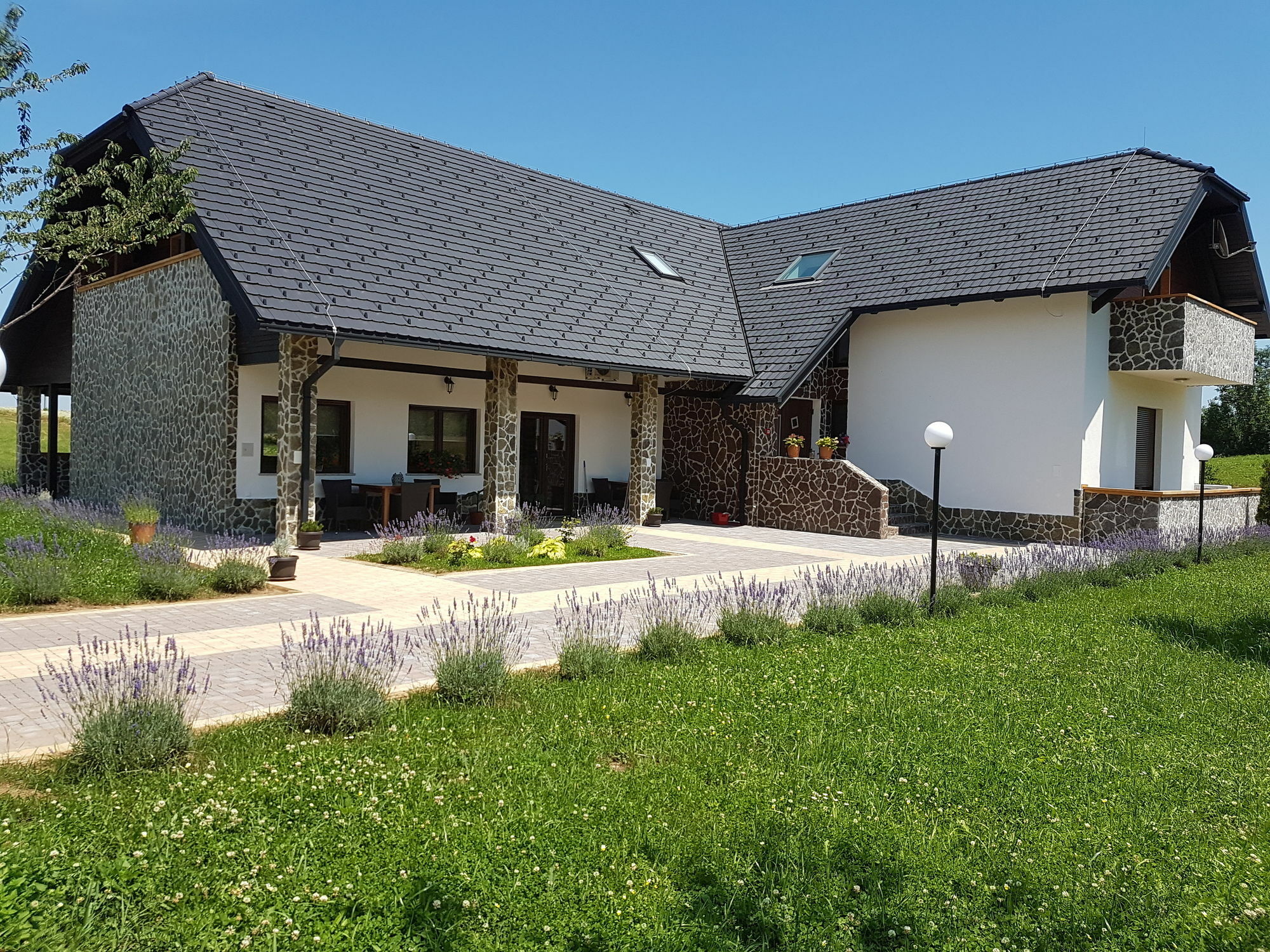 Villa Stone Раковица Екстер'єр фото